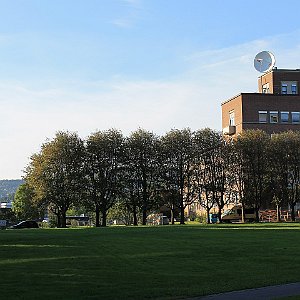 40 Universitas Osloensis