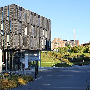 49 Universitas Osloensis