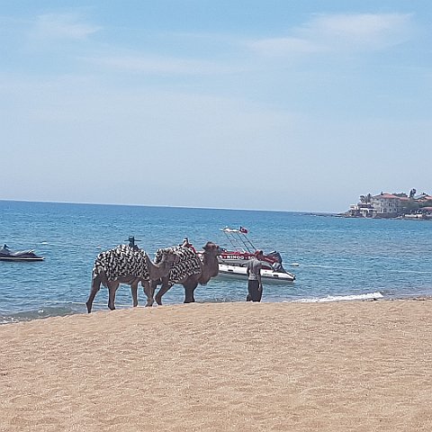 Side, Turkey 24