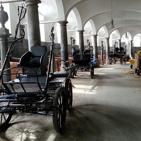 Horse carriage in Copenhagen