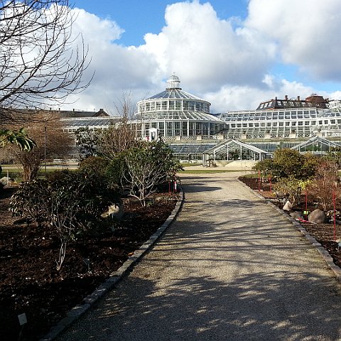 Botanical Gardens in Copenhagen