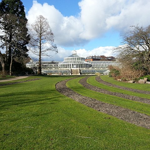 Botanical Gardens in Copenhagen