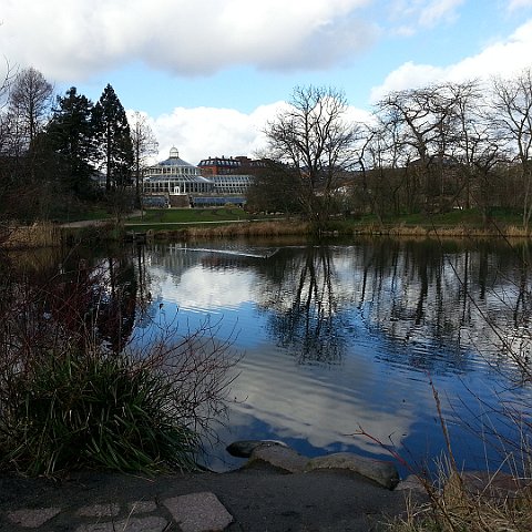 Botanical Gardens in Copenhagen