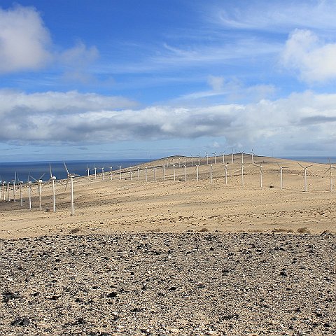 115-Fuerteventura