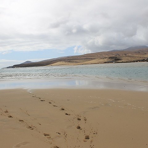 32-Fuerteventura