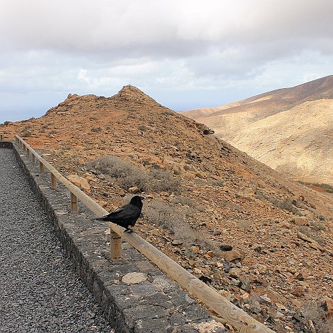 66-Fuerteventura