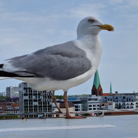 Minnesmerke til Bismarck i Hiroshima Park