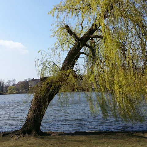 Havna og fjorden i Kiel