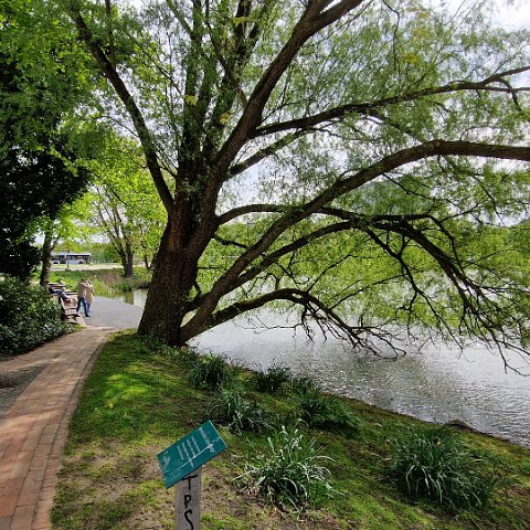 Hiroshima Park