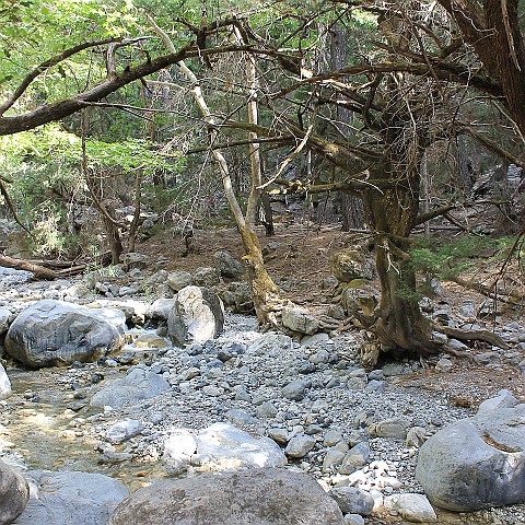 15 Samariá Gorge