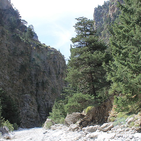 25 Samariá Gorge