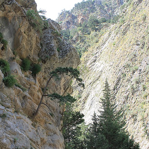 26 Samariá Gorge