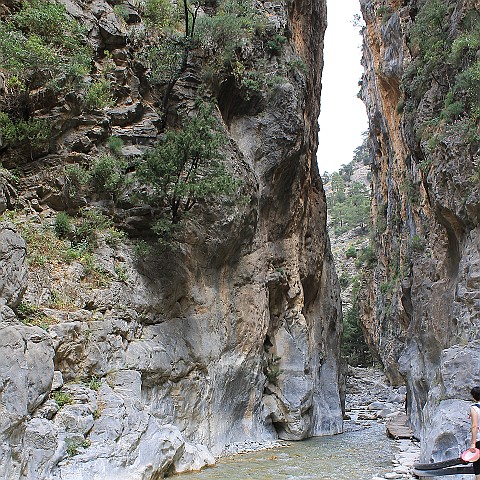 37 Samariá Gorge