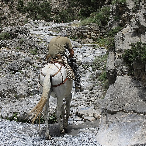 39 Samariá Gorge