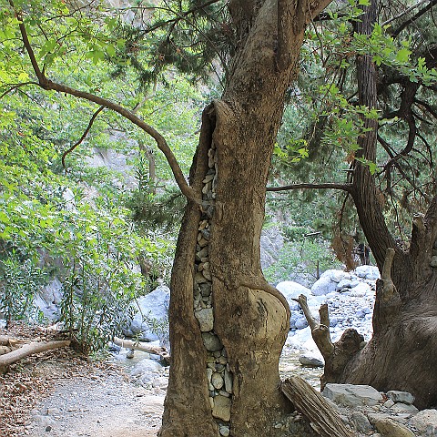 7 Samariá Gorge