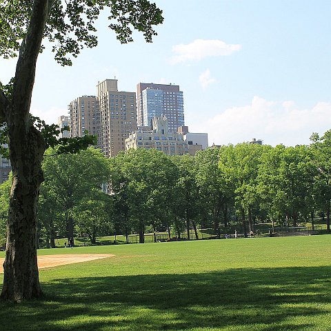 Central-Park-5