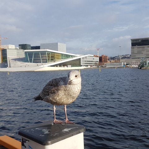 12 Oslo Havn