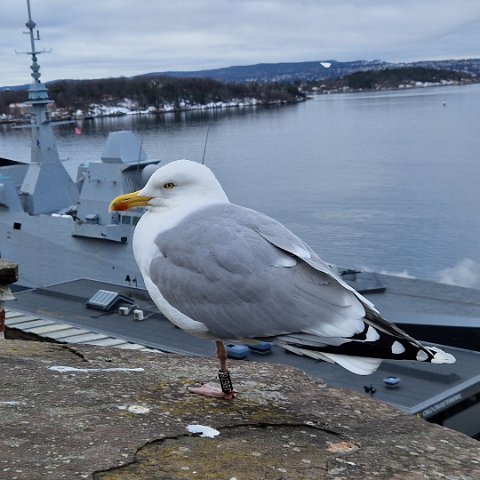 6 Port of Oslo