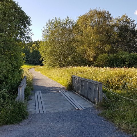 Ostensjovannet 26