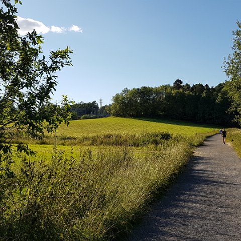 Ostensjovannet 31