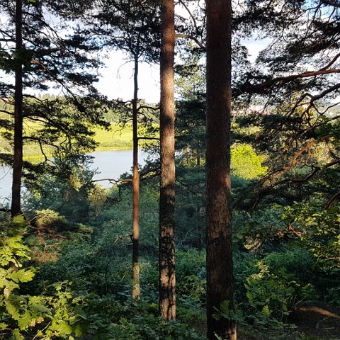 Ostensjovannet 35