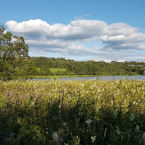 Ostensjovannet 8