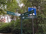 10-Stromsborgveien