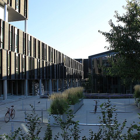 44 Universitas Osloensis (Ole-Johan Dahls hus)