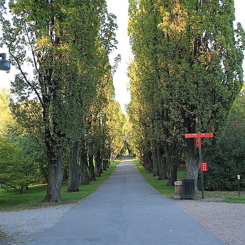 7 Universitas Osloensis