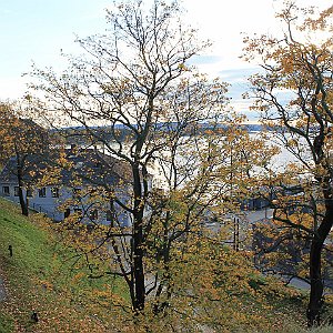 42 Akershus Fortress
