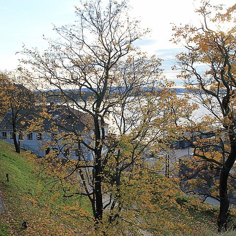 42 Akershus Fortress