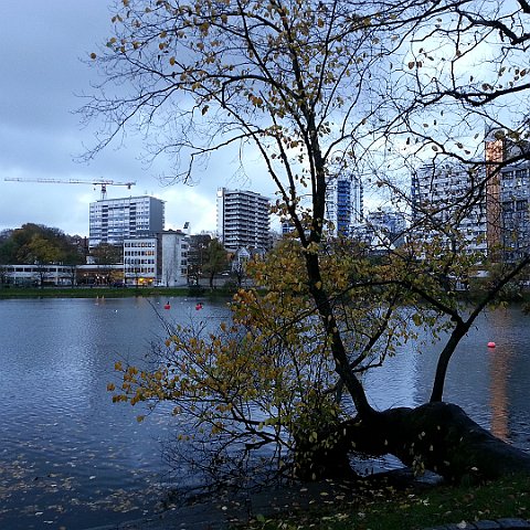 Stavanger 19