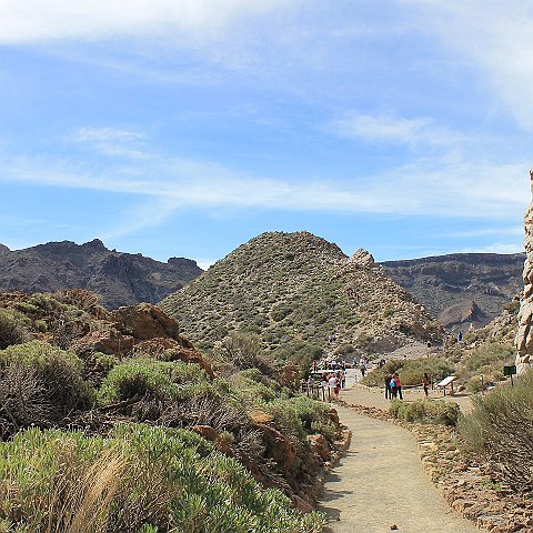 24-Tenerife