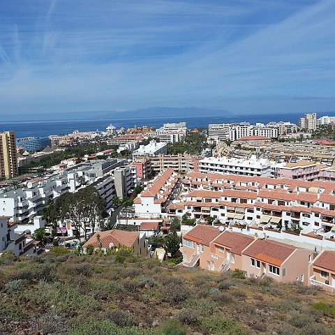 37-Tenerife