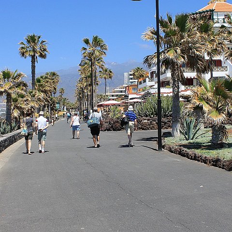 62-Tenerife