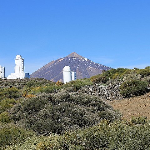 8-Tenerife