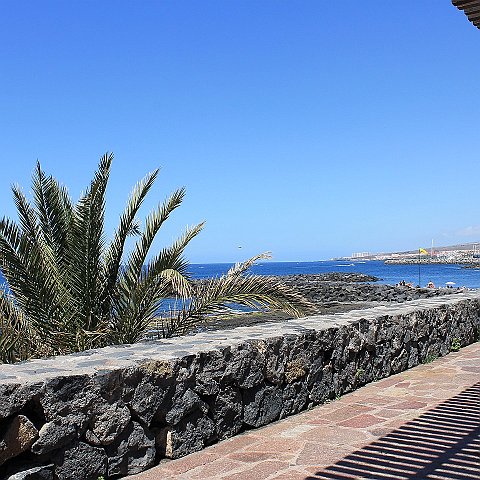 81-Tenerife