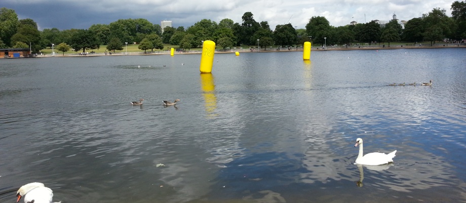 Hyde Park - Triathlon, Marathon Swimming