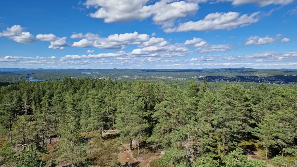 Våglia sett fra Mjerskaugtårnet