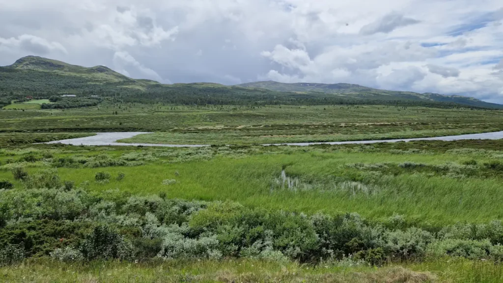 Rondane nasjonalpark sett fra Hjerkinn