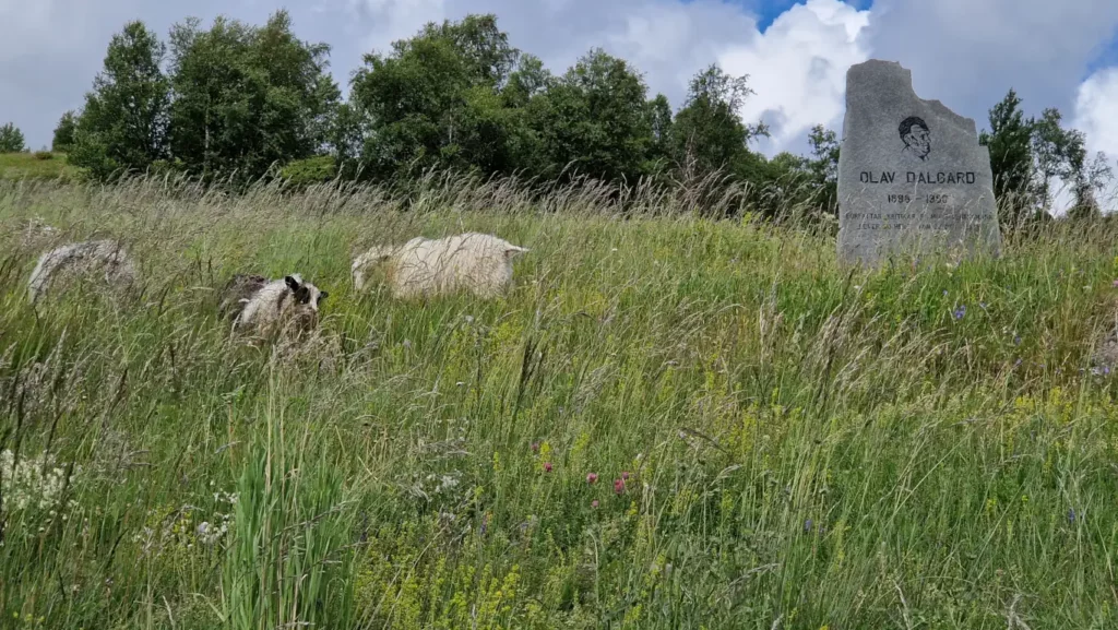 Vinjesteinen ved Hjerkinn Fjellstue