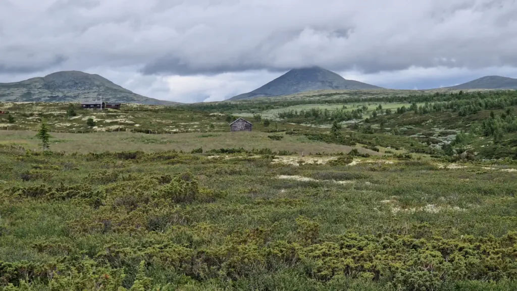 Gamle Rondane