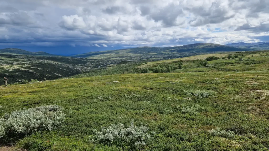 Dovrefjell