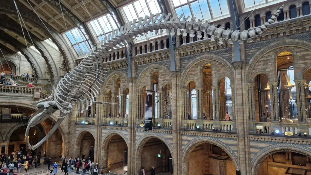 Natural History Museum