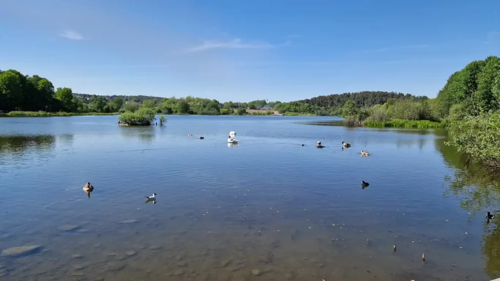 Østensjøvannet ved Bølerbekken