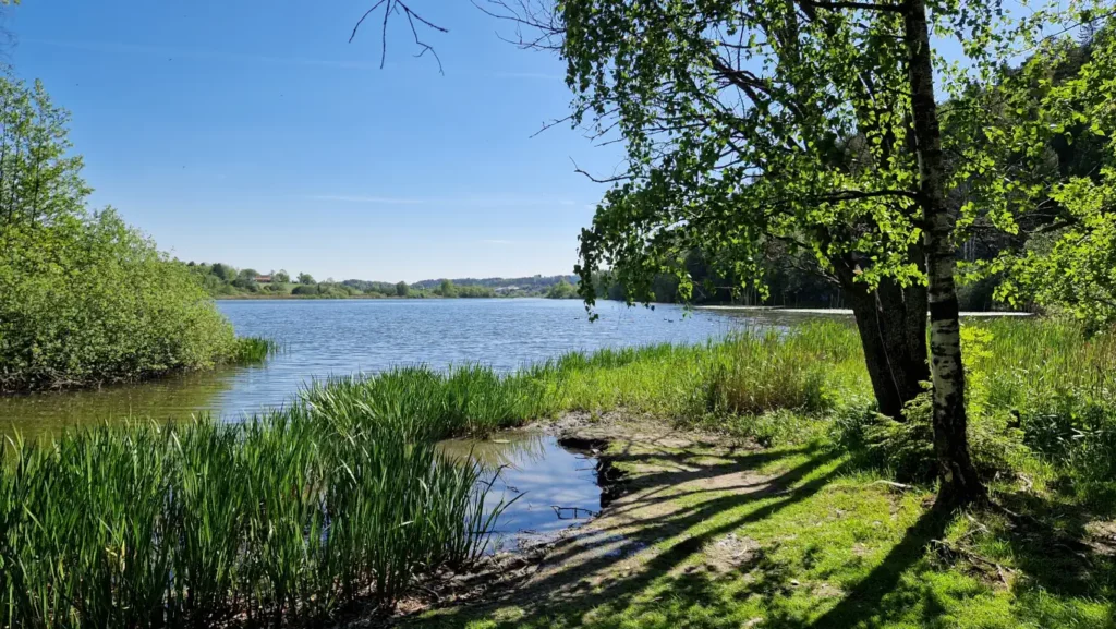 Østensjøvannet