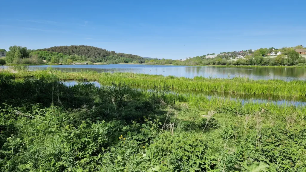 Østensjøvannet vest