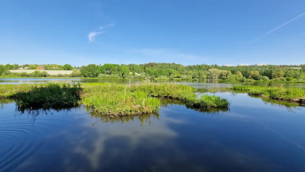 Østensjøvannet ved Svaneveien