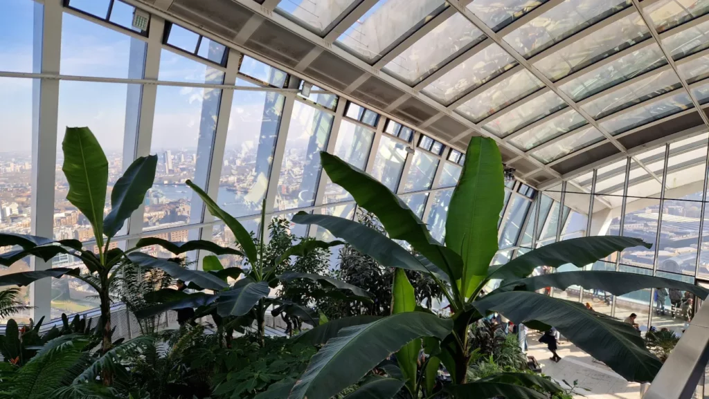 Sky Garden i 20 Fenchurch Street