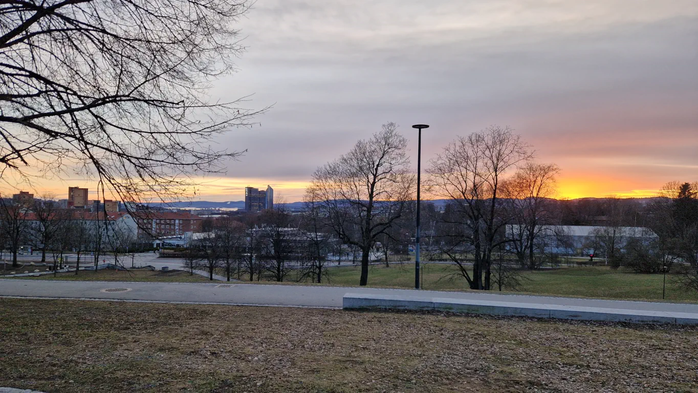 Solnedgang i Tøyenparken